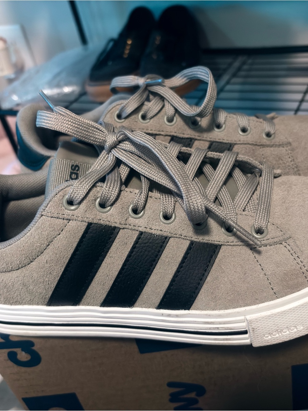 Adidas Daily 3.0 low tops